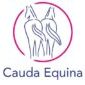 Cauda Equina